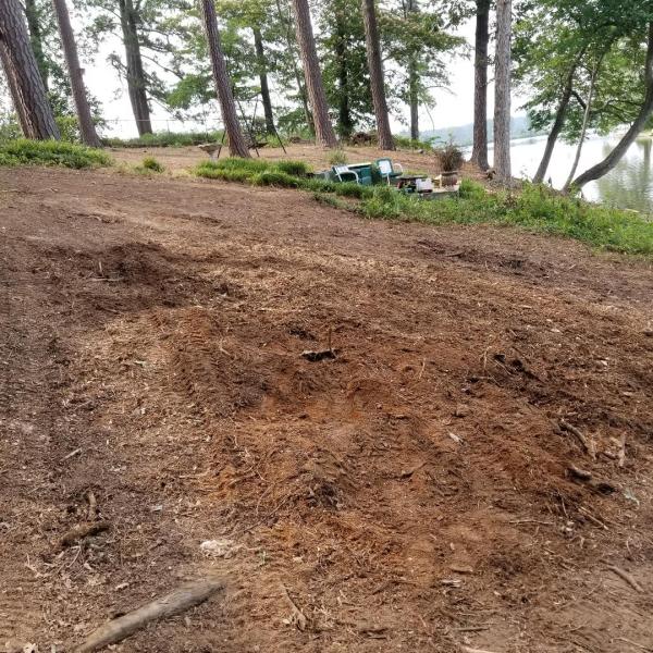 G and G Stump Removal
