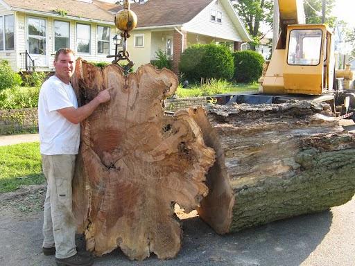 Mid Ohio Tree Service