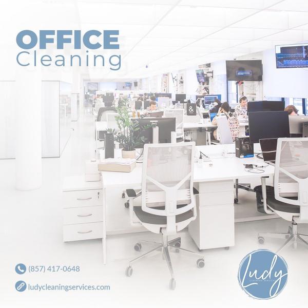 Ludy Cleaning Service