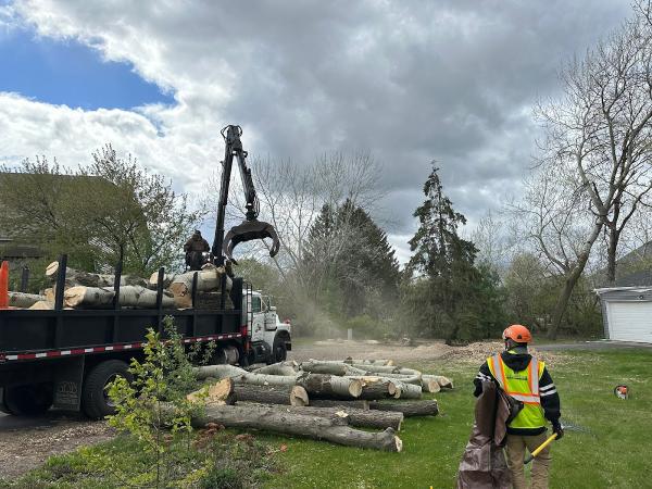 Wildwood Tree Service Inc.