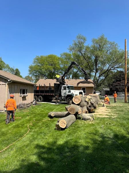 Wildwood Tree Service Inc.