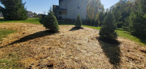 Turf Trimmers