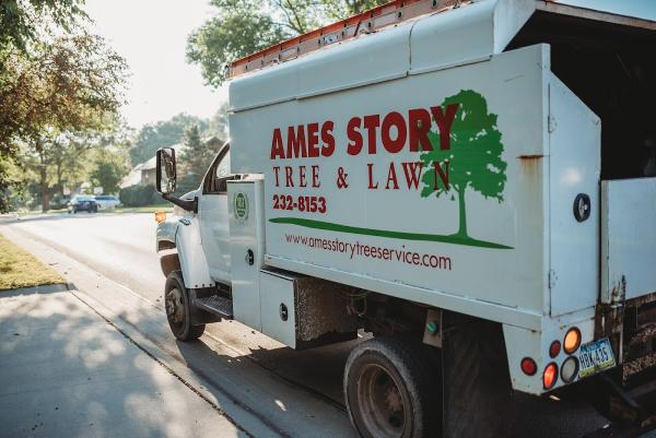 Ames Story Tree & Lawn