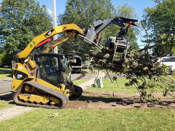 WJ Tree Services & Landscaping