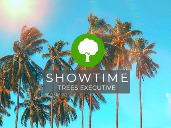 Showtime Trees Executive