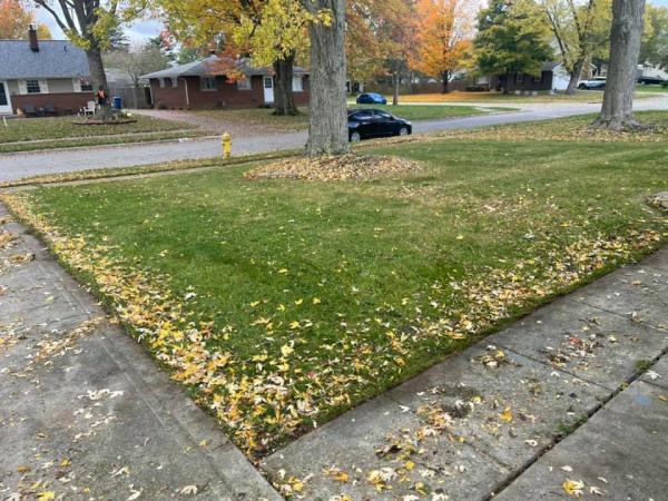 Sigmund's Lawncare Service