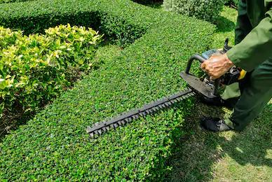 Paul's Landscaping Care