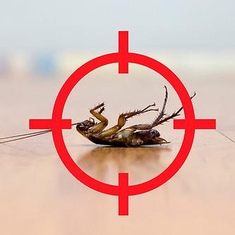 Four Seasons Exterminating