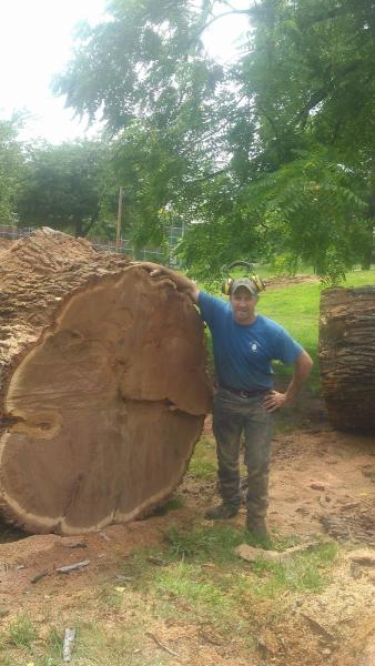 Blue Denim Tree Services