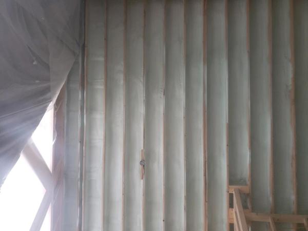 The Insulators