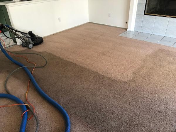 Smith's Carpet