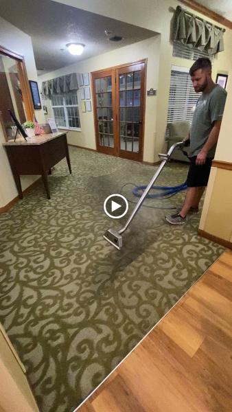 A1 Steam Carpet Cleaning