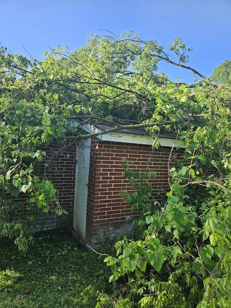 Chattanooga Tree Service Inc.