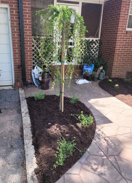 Ortiz Landscaping NC