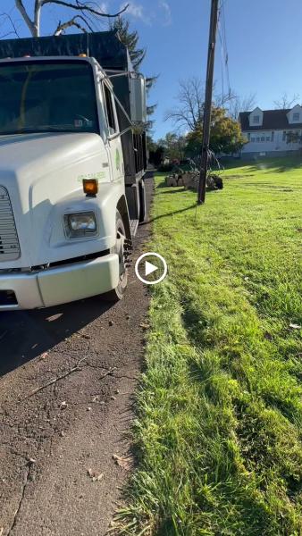 Amazing Tree Service LLC