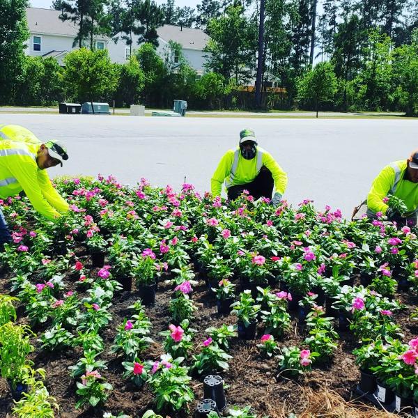 Charleston Grounds Management