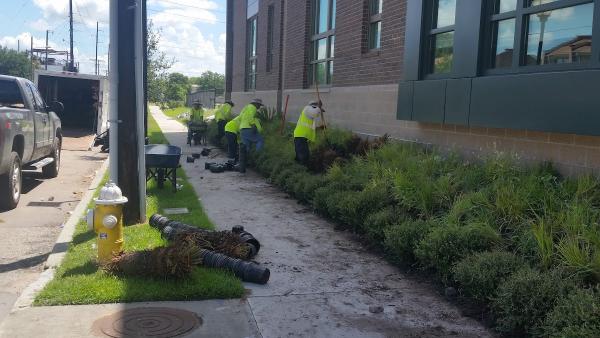 Charleston Grounds Management