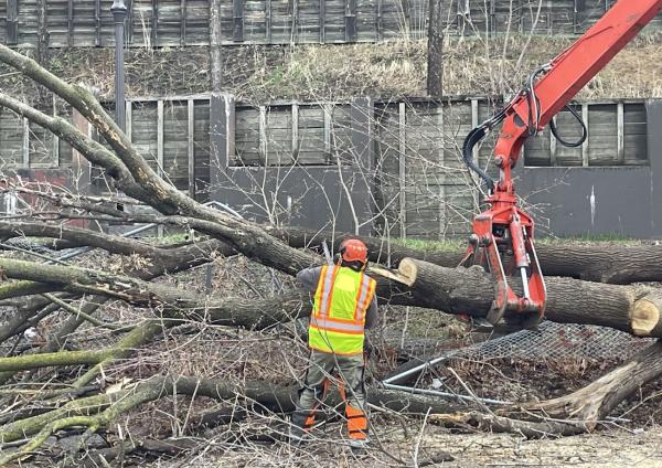 The Tree Removal Pros