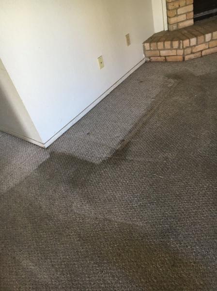 Pure Heaven Carpet & Upholstery Cleaning
