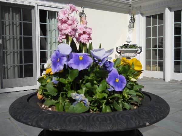 TR Molgano Landscaping