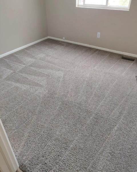 Blitz Carpet Cleaning