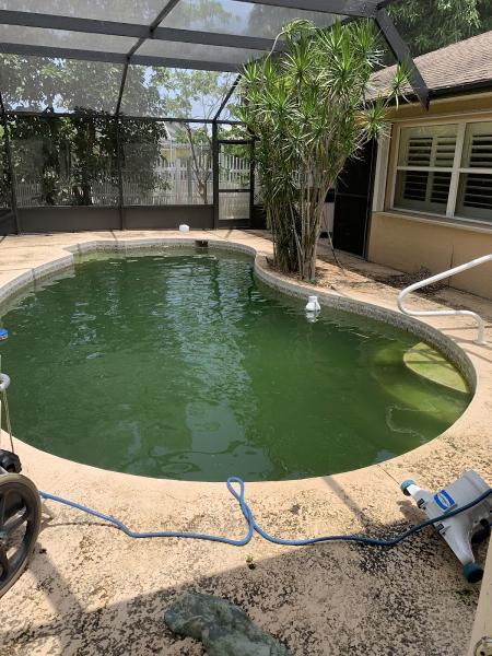 Purified Pool Service LLC