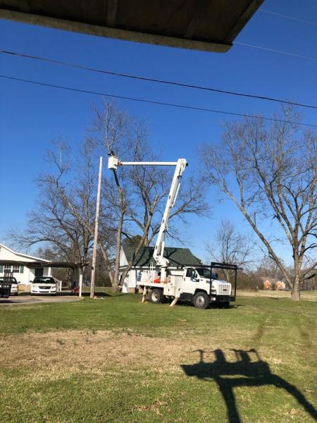 Wheeler Tree Service