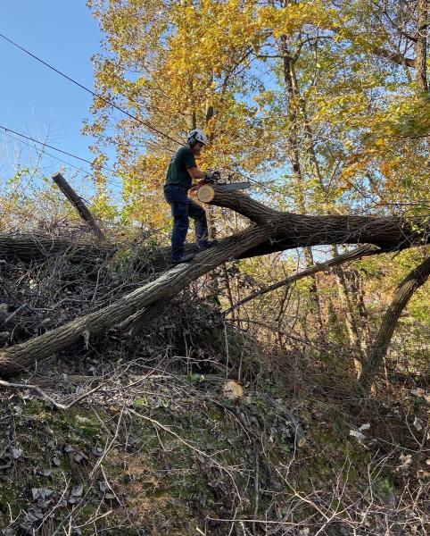 High Angle Tree Service LLC