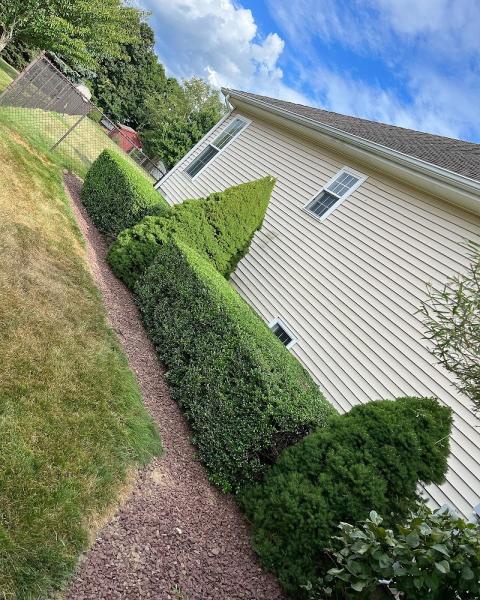 Life Green Lawn Care LLC .. Snow Plowing