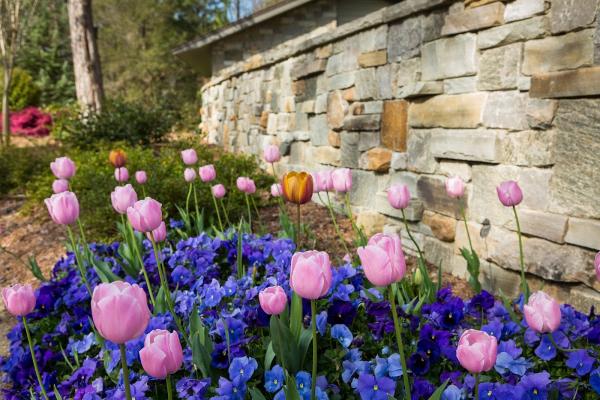 Morgan Landscape Group