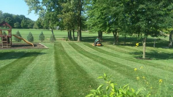 Grass Roots Lawn Care LLC