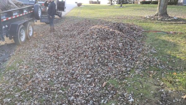 Grass Roots Lawn Care LLC