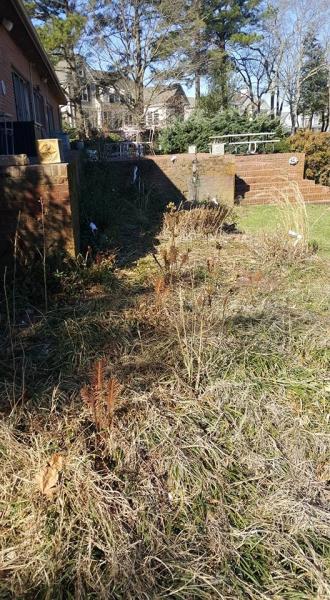 The Wright Lawn Care & More