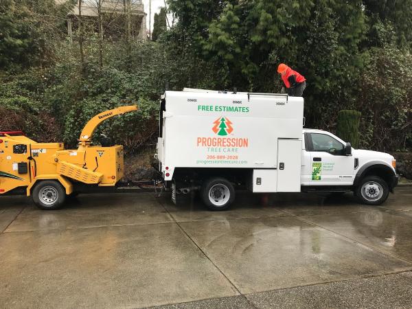 Progression Tree Care