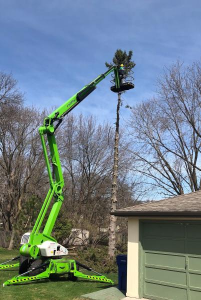 Absolute Tree Service