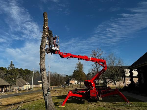 Rushing's Tree Care