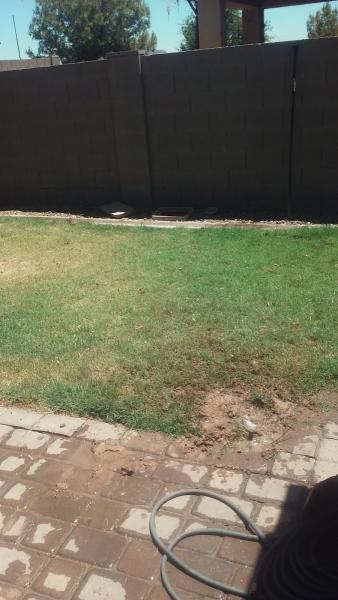 Scenic Landscapers