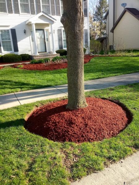 New Hills Landscaping