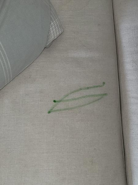 Generation Carpet Cleaning and Restoration
