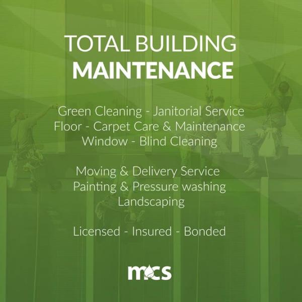 Management Cleaning Service