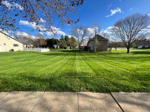 Anthony's Lawn Care and Landscaping