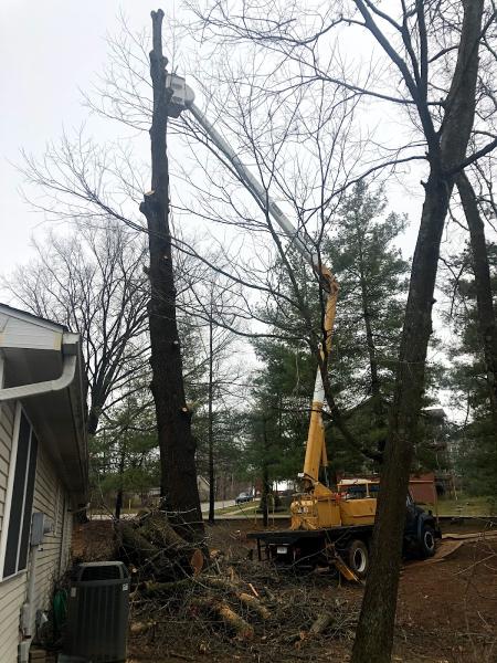 Anthony's Lawn Care and Landscaping