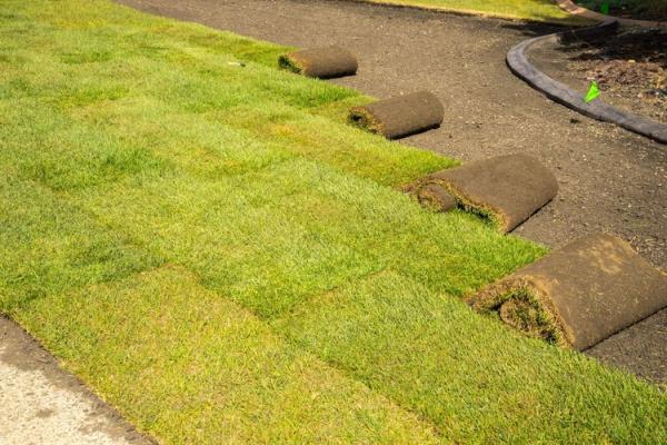 Jhmsod and Lawn Services LLC