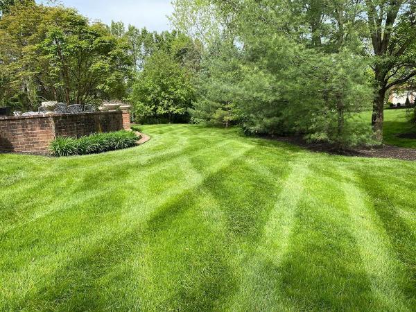 Line It Up Lawn Care LLC