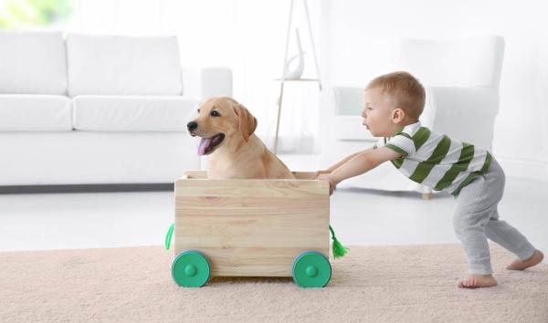 Happy Day Carpet Care
