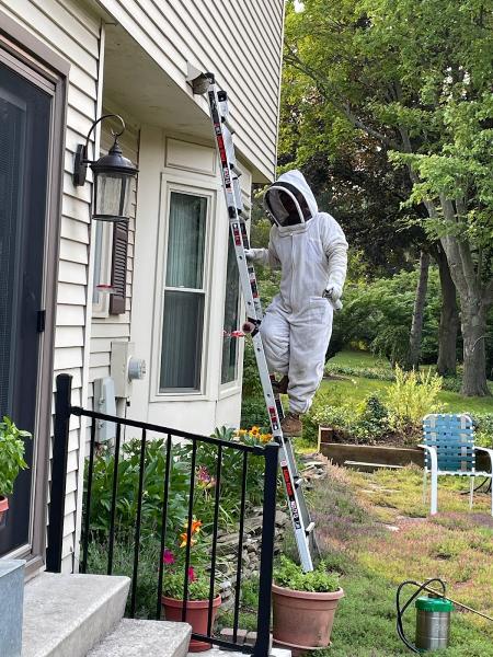 Community Pest Solutions