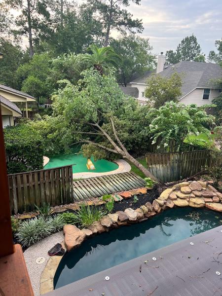 Texas Pool Restoration
