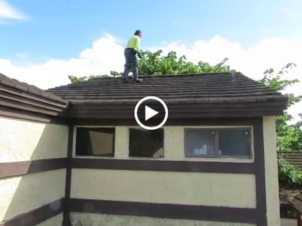 Home Inspections Halley