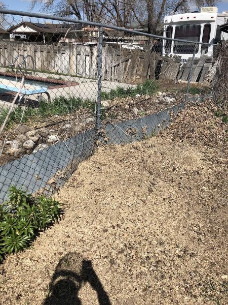 Cache's Stump Grinding