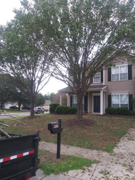 Hinson Tree Service